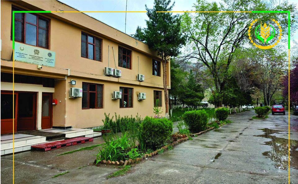 office