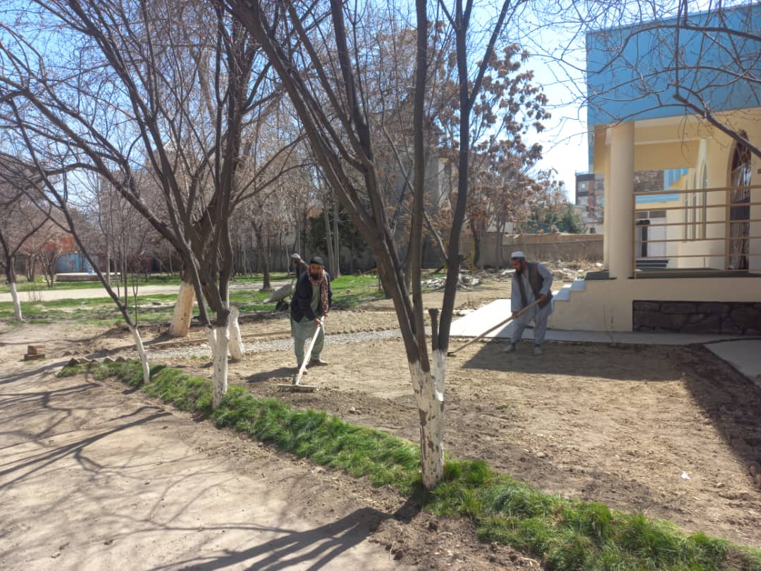 Garden