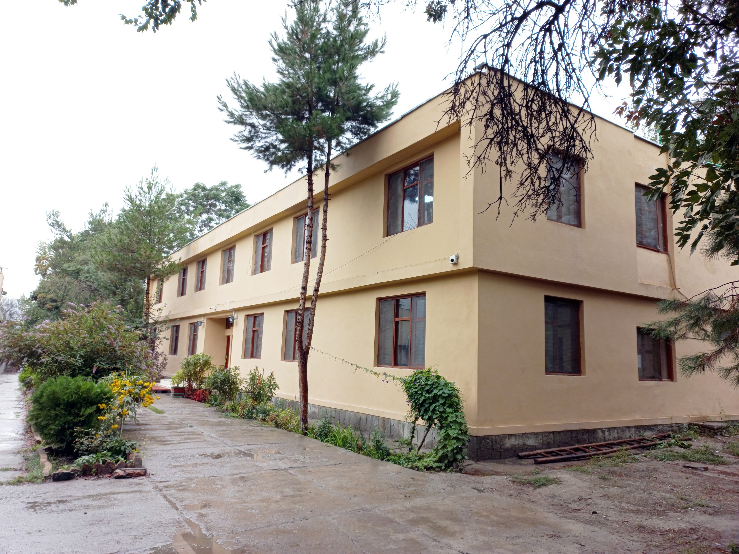 Dar